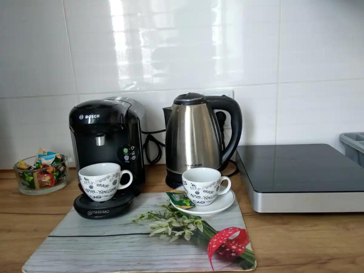 Apartament Przy Synagodze Przemyśl Dış mekan fotoğraf