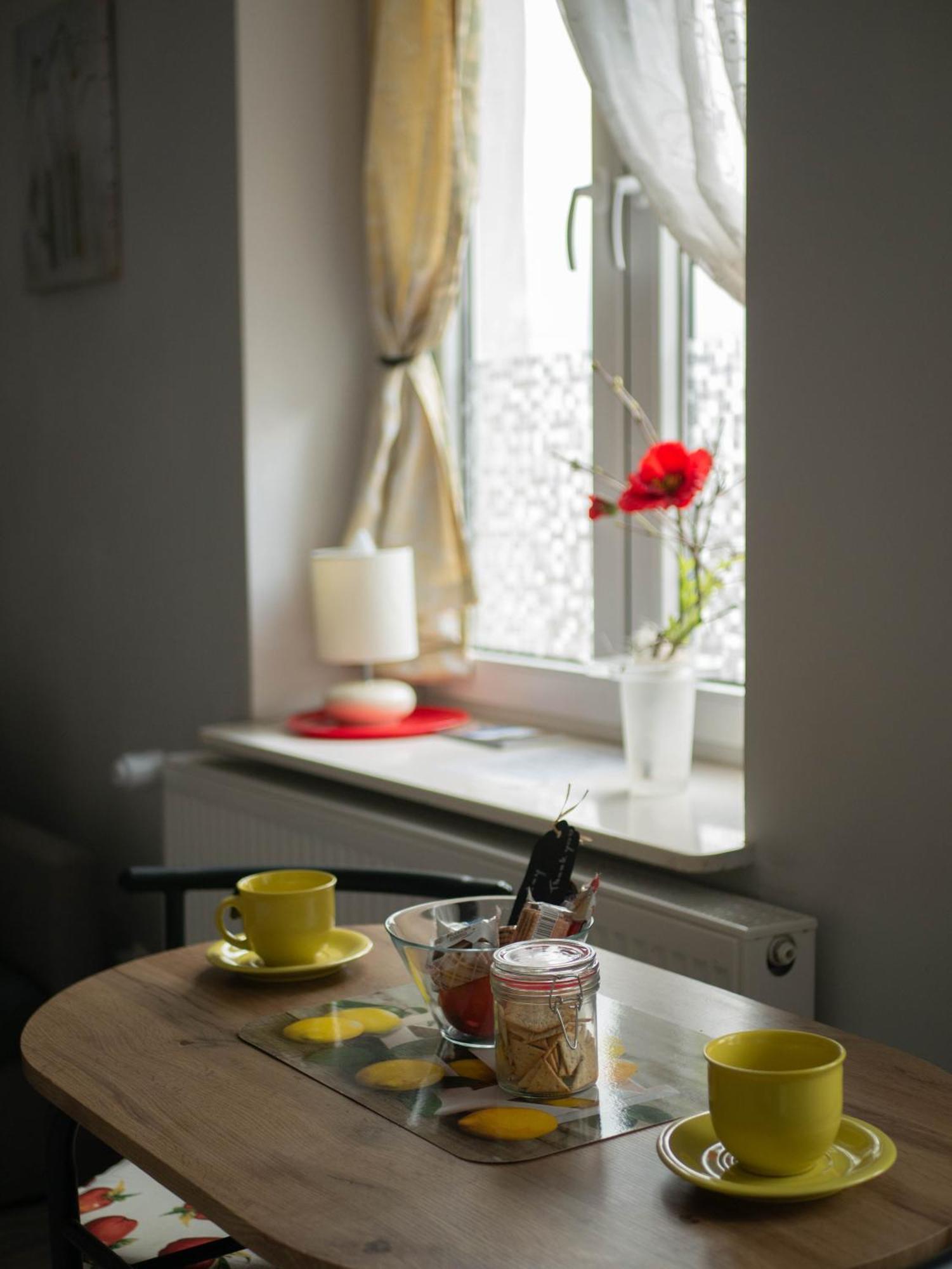 Apartament Przy Synagodze Przemyśl Dış mekan fotoğraf